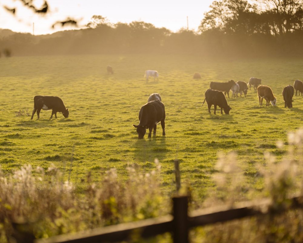 Sashka and Adam1061
